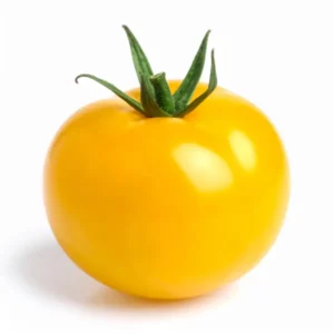 Lemon Boy tomato