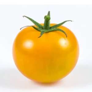 Momorato Gold tomato