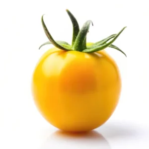 Sun Gold tomato