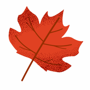 Autumn leaf