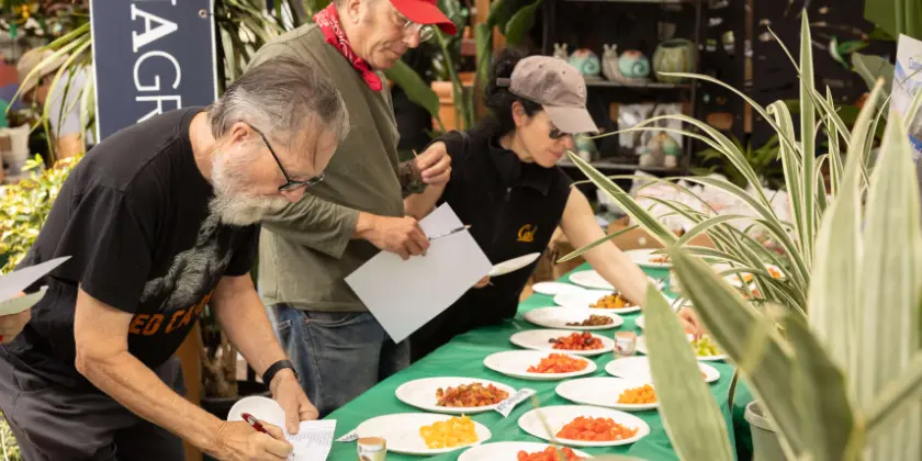 Participants in the Anawalt 2023 tomato tasting event