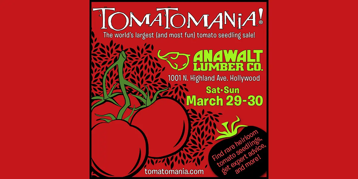 TomatoMania - All Things Tomato