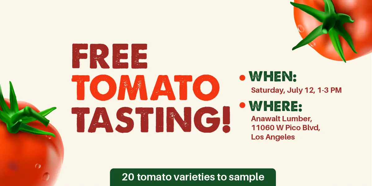 Free Tomato Tasting